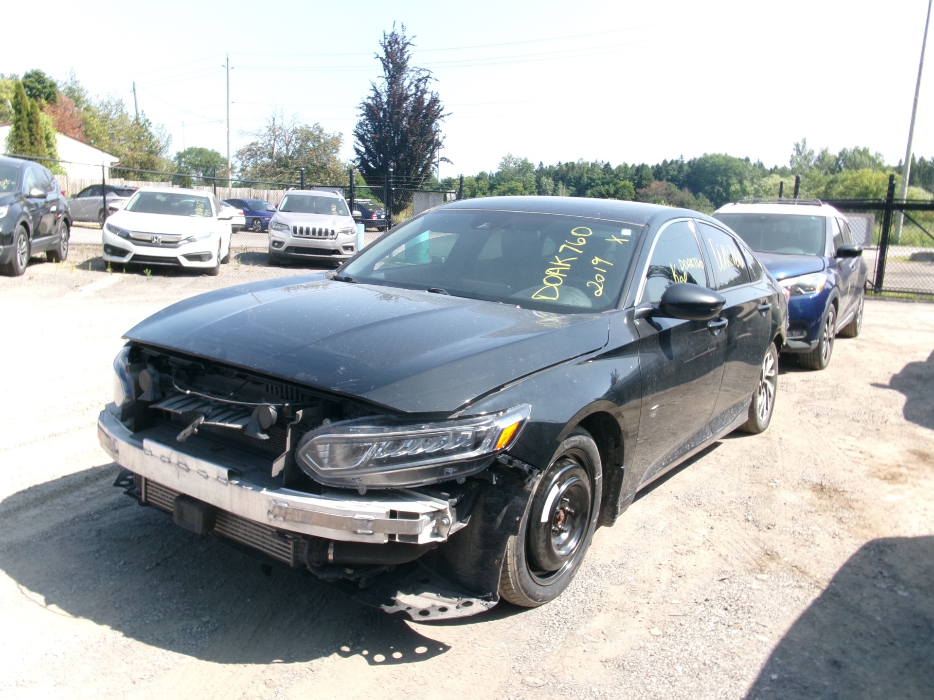 2019 Honda Accord