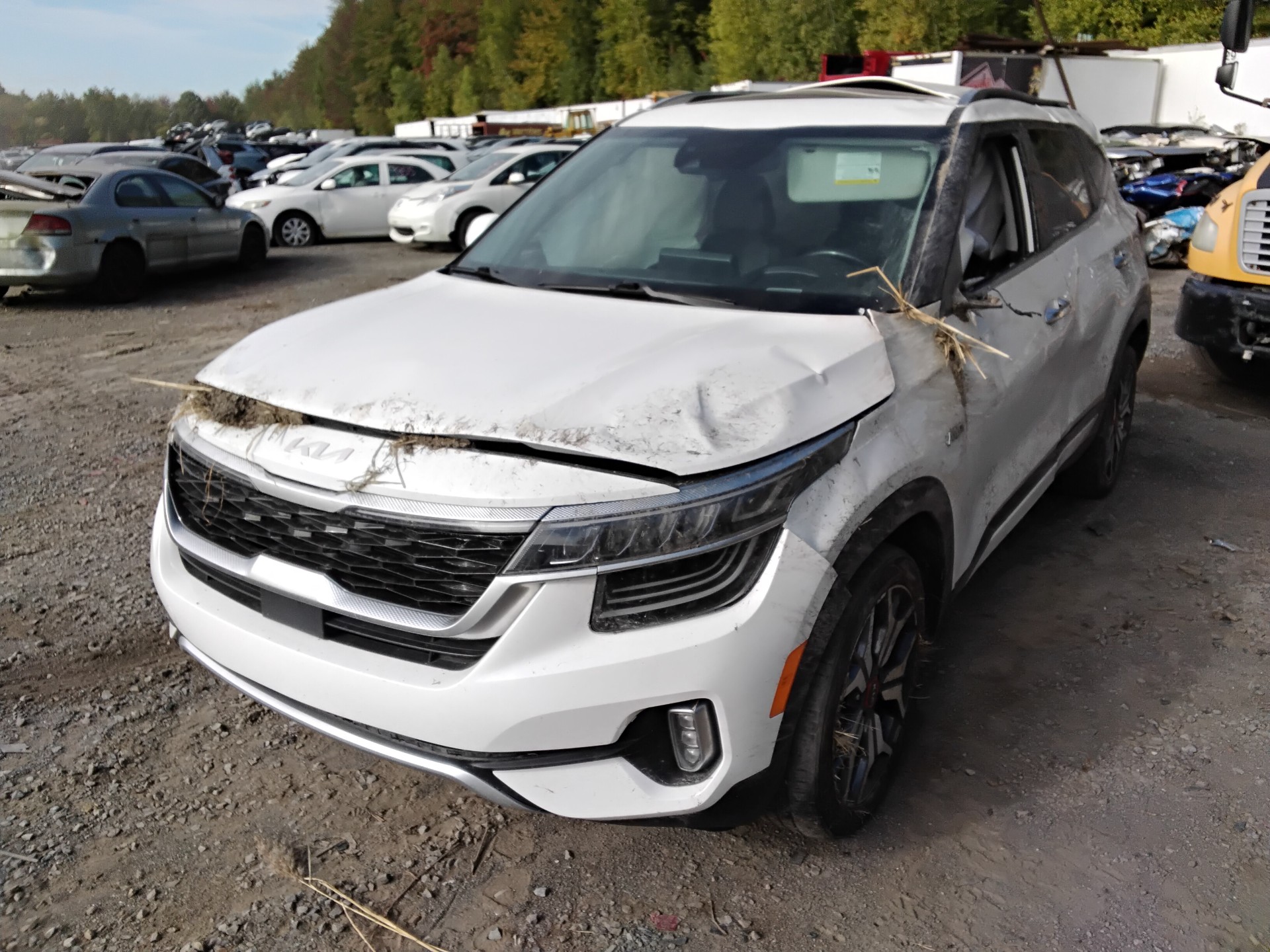 2022 Kia Seltos