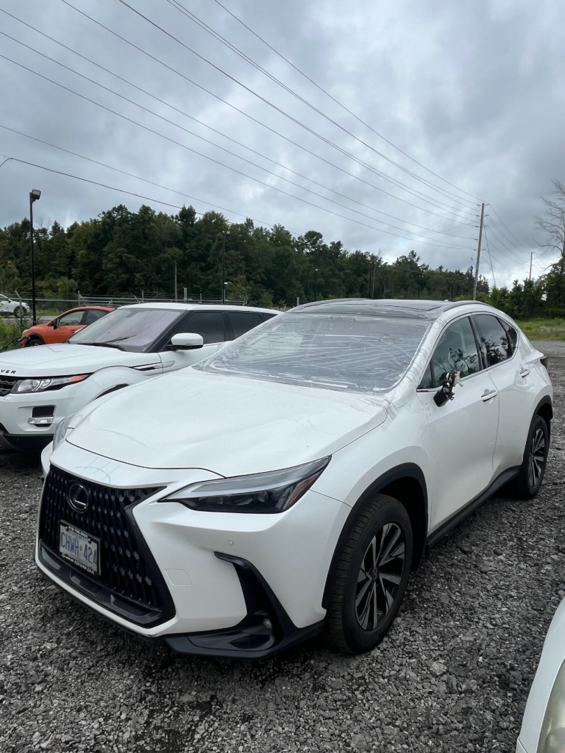 2023 Lexus Lexus Nx