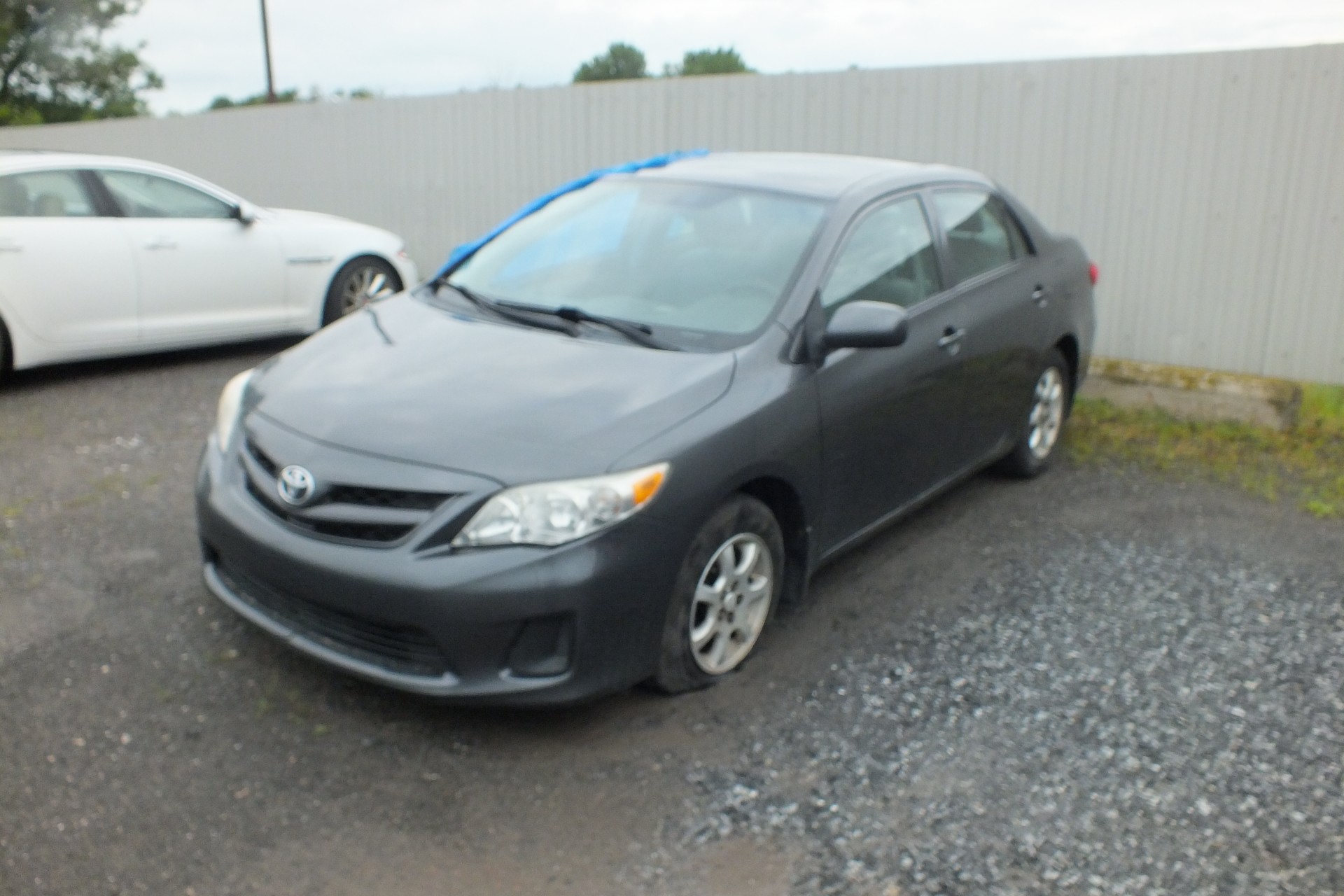 2011 Toyota Corolla
