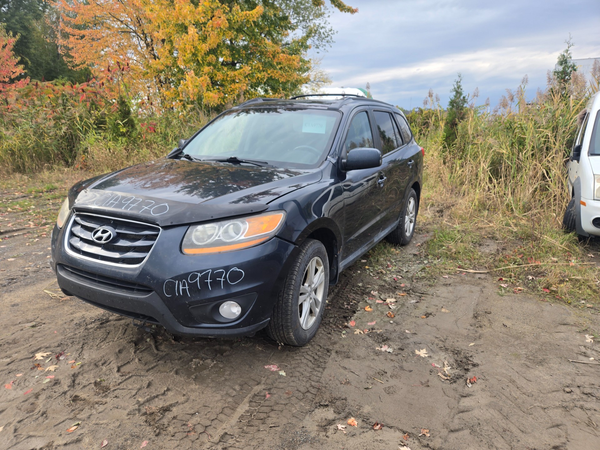 2011 Hyundai Santa Fe