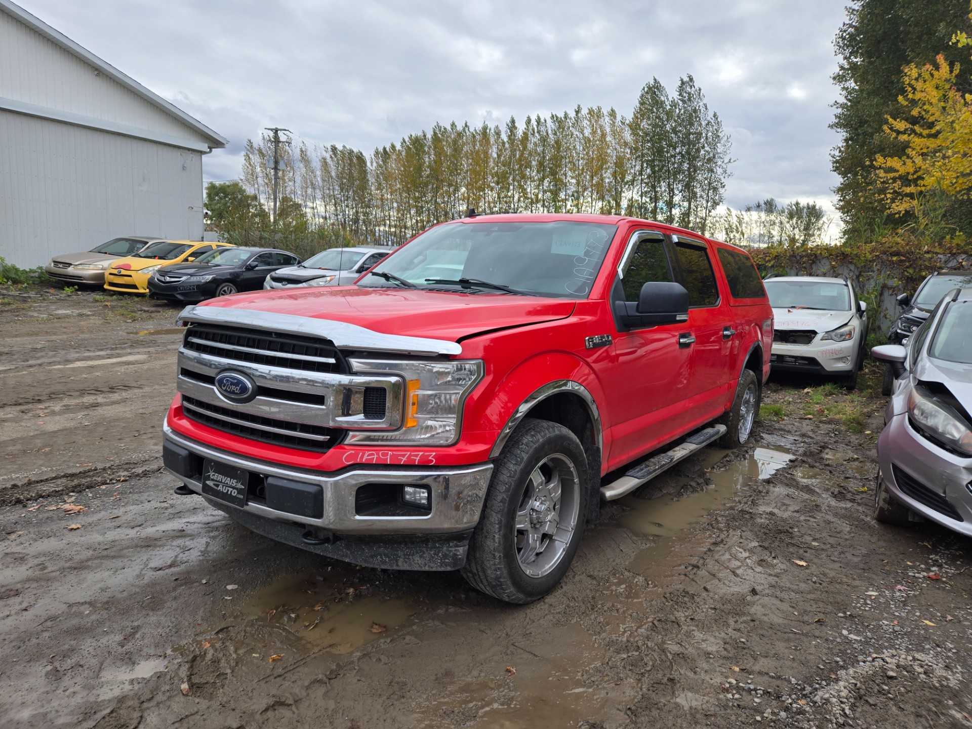 2019 Ford Pickup (Ford)