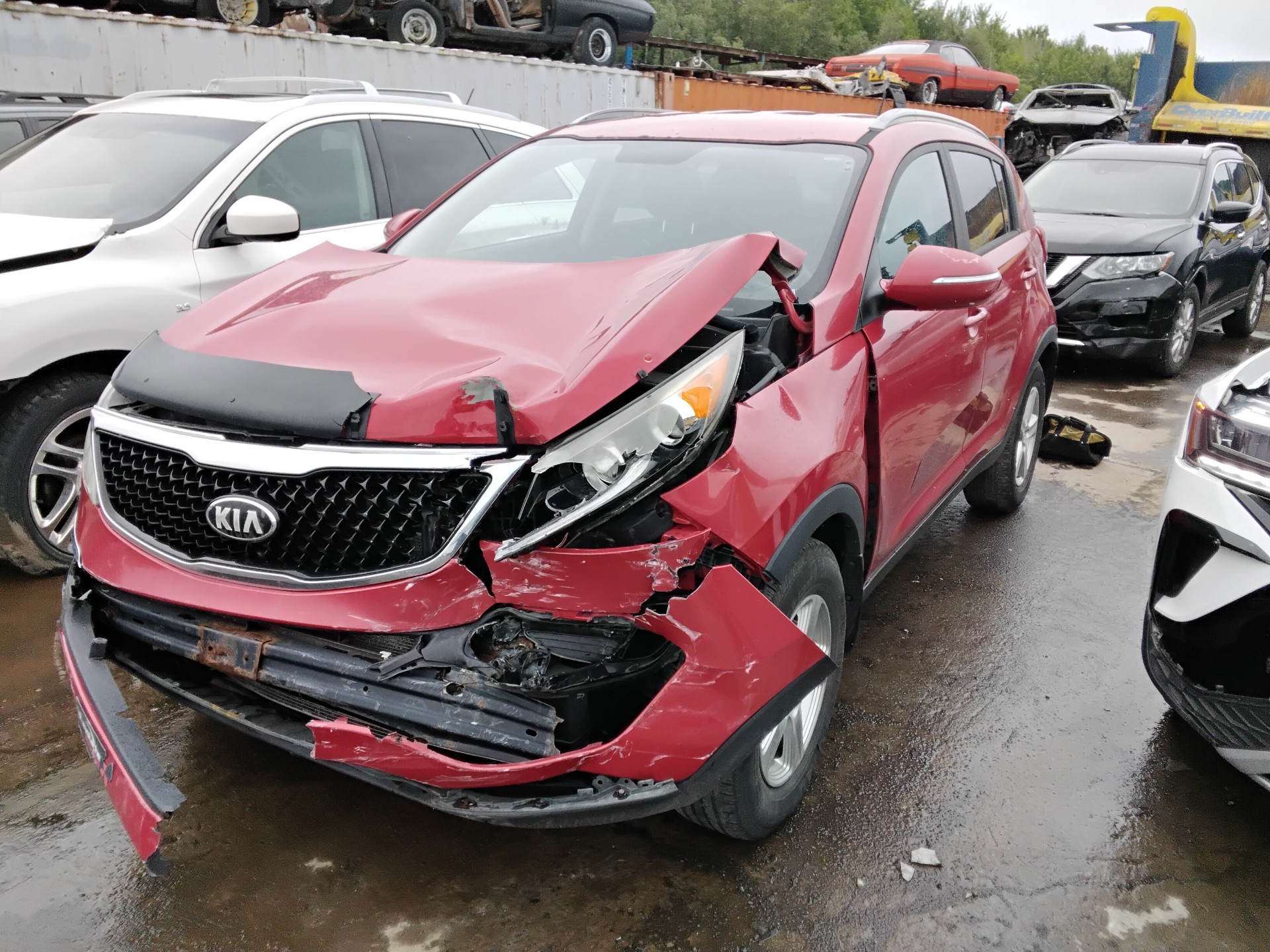 2014 Kia Sportage