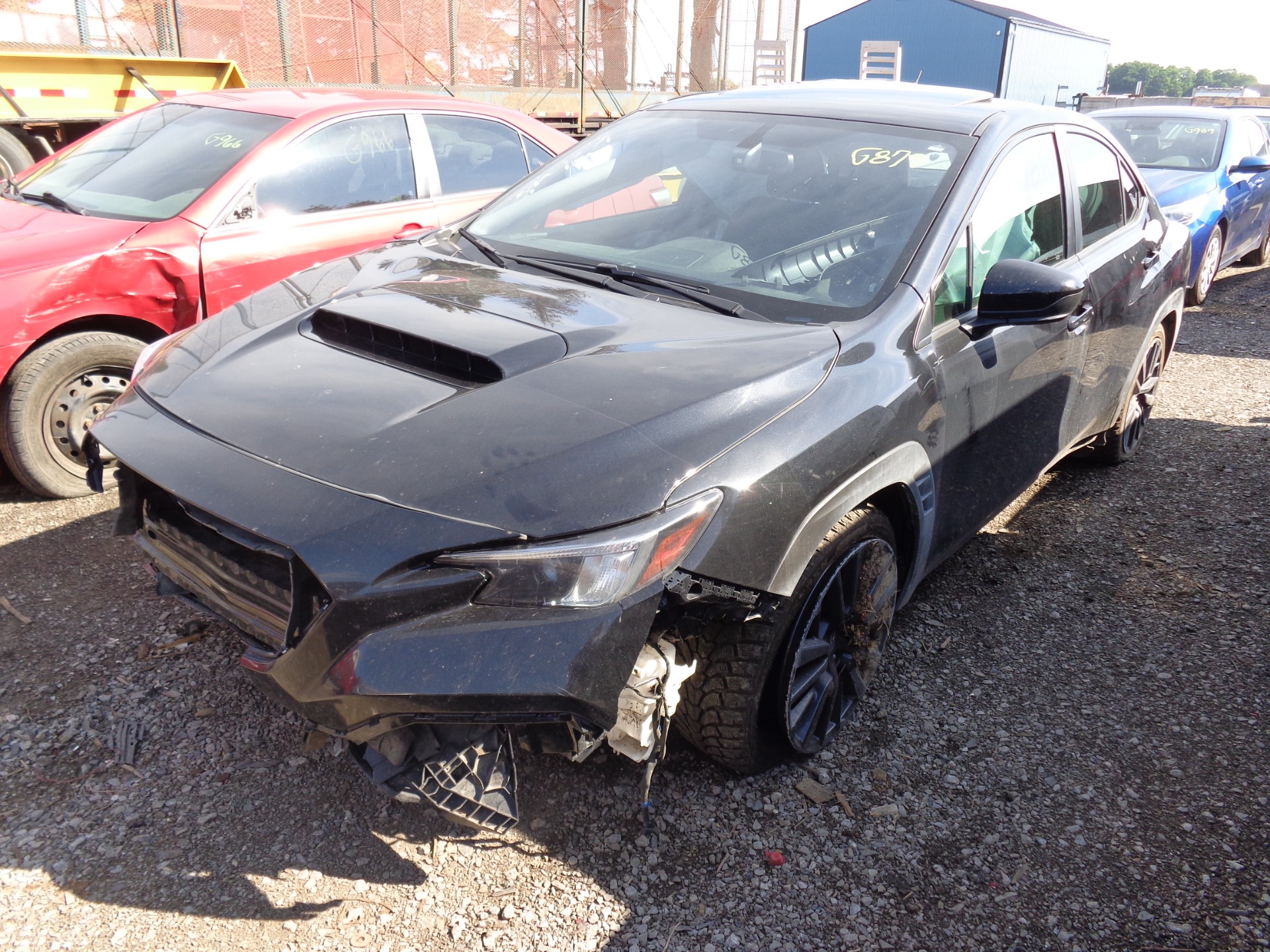 2023 Subaru Wrx