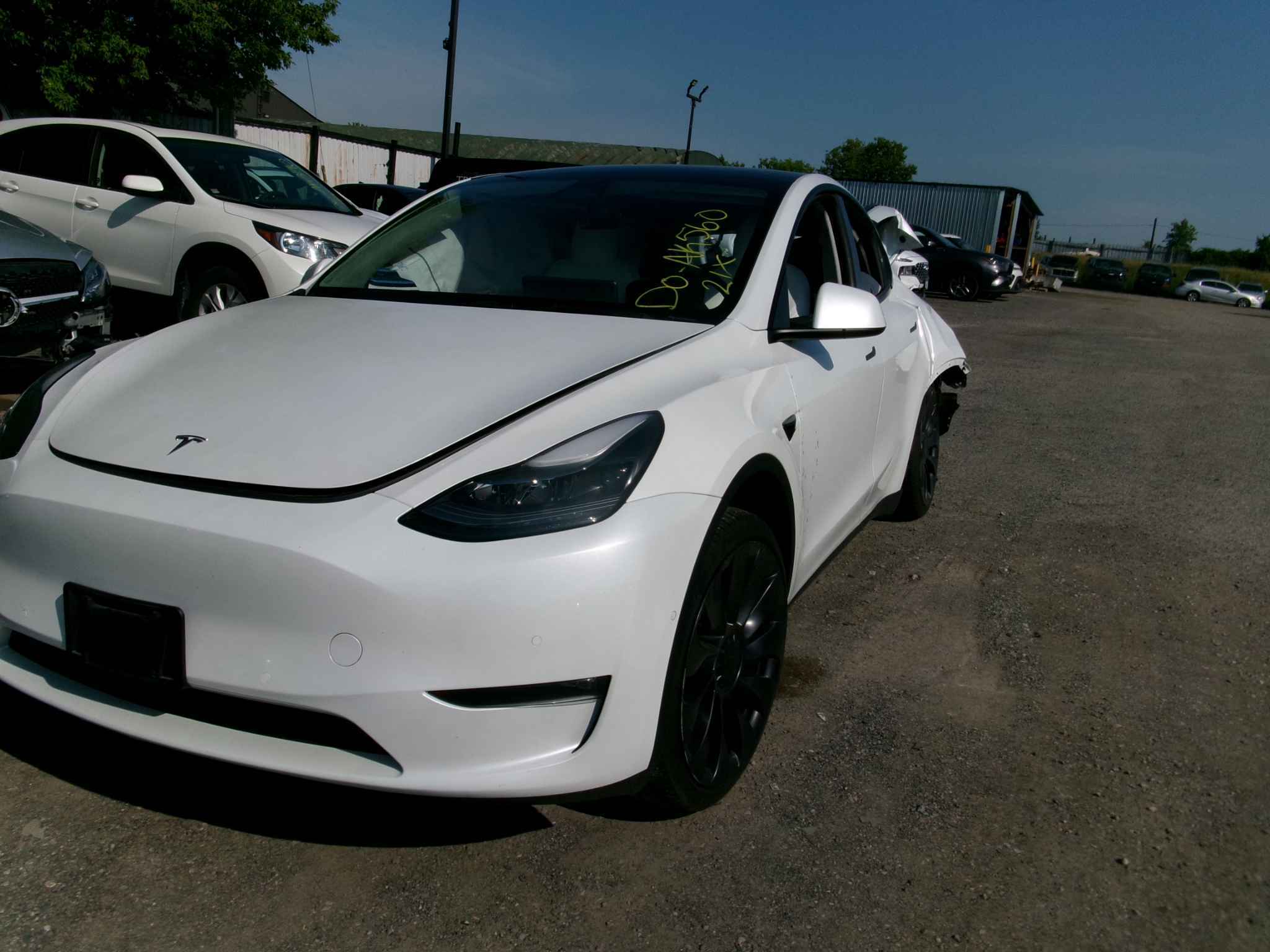 2021 Tesla Tesla Y