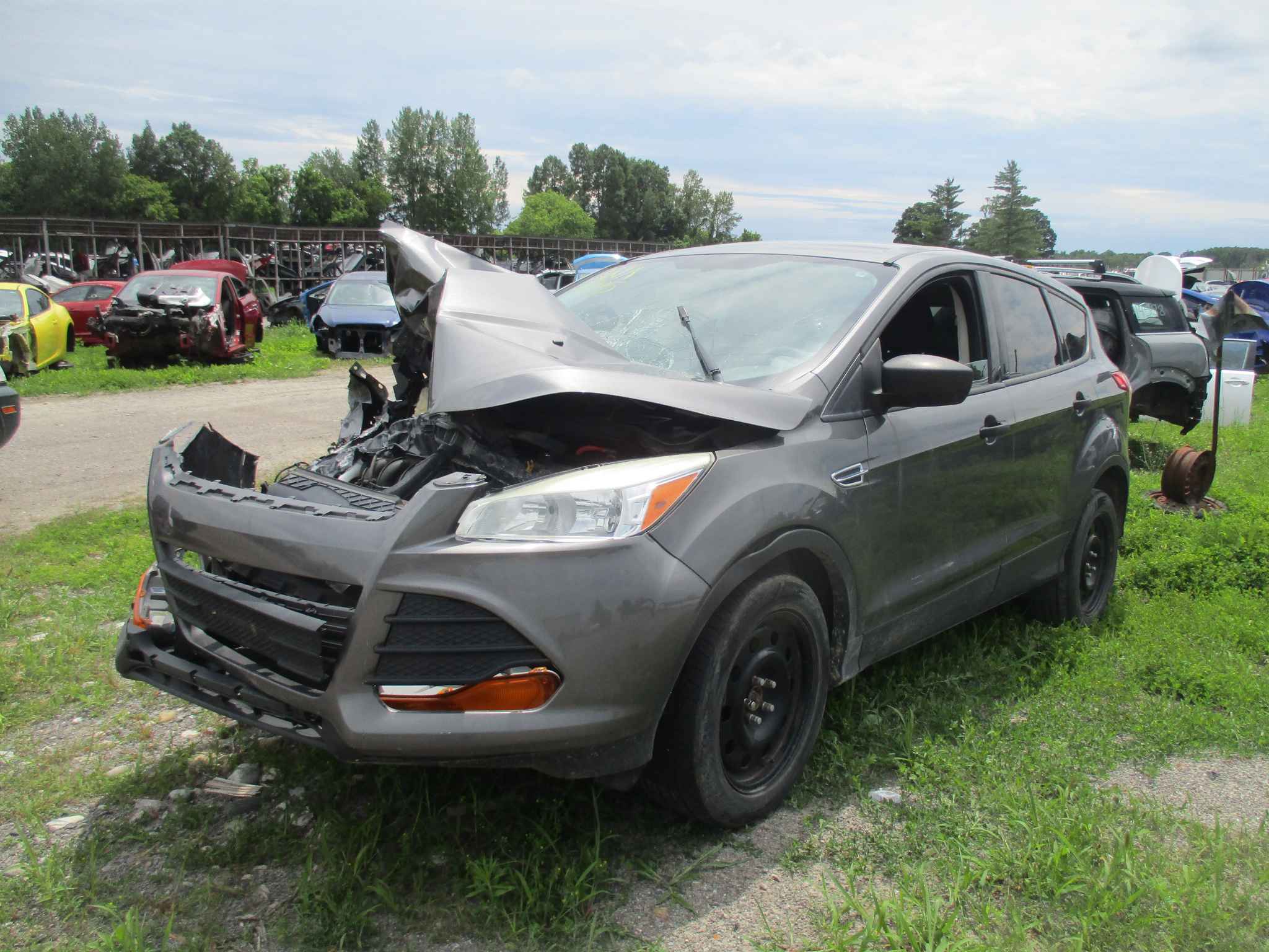 2013 Ford Escape