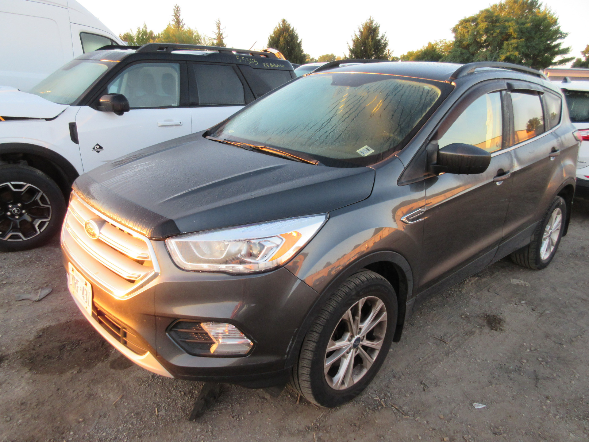 2019 Ford Escape
