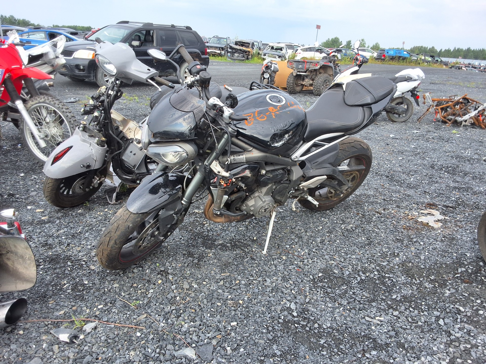 2021 Motorcycle Triumph Moto