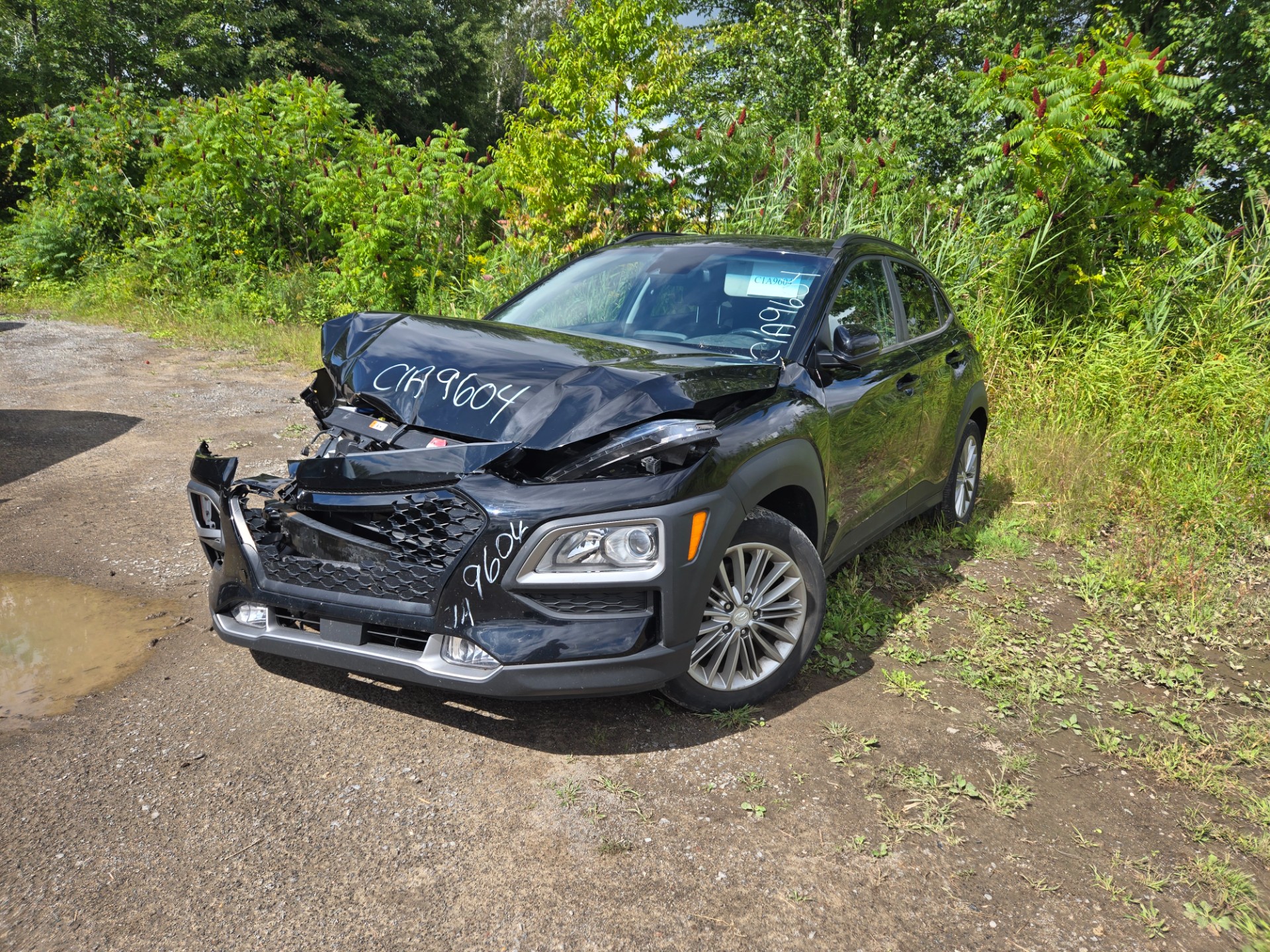 2019 Hyundai Kona