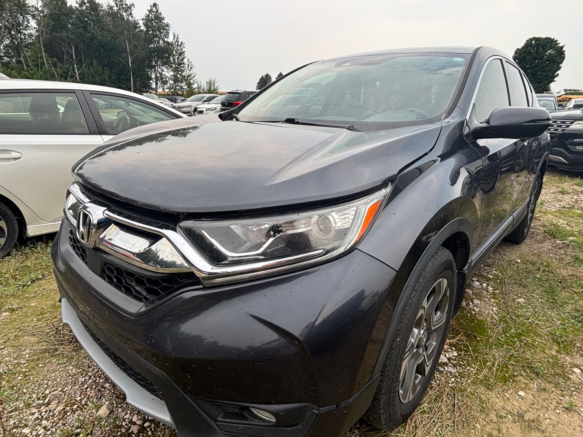 2019 Honda Cr-V