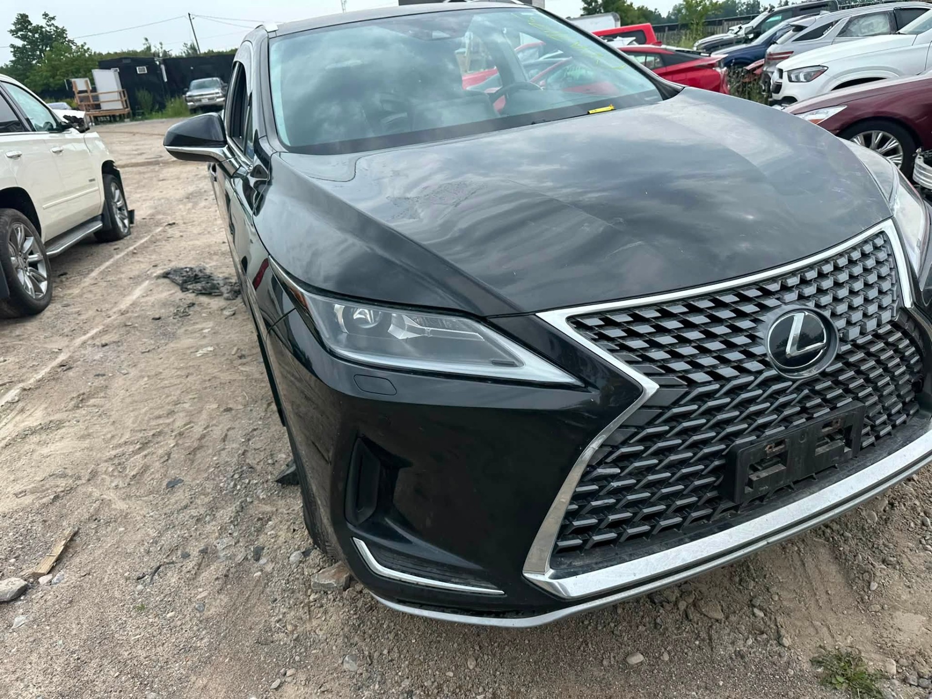 2020 Lexus Lexus Rx