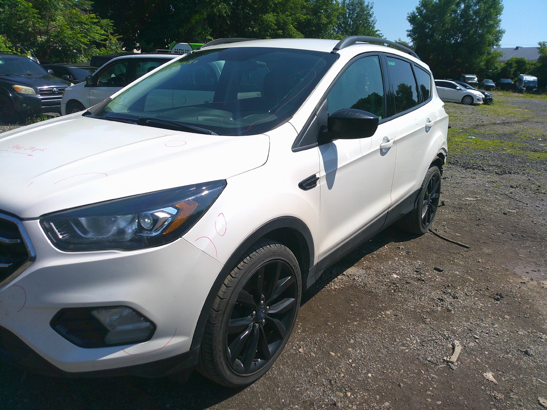 2019 Ford Escape