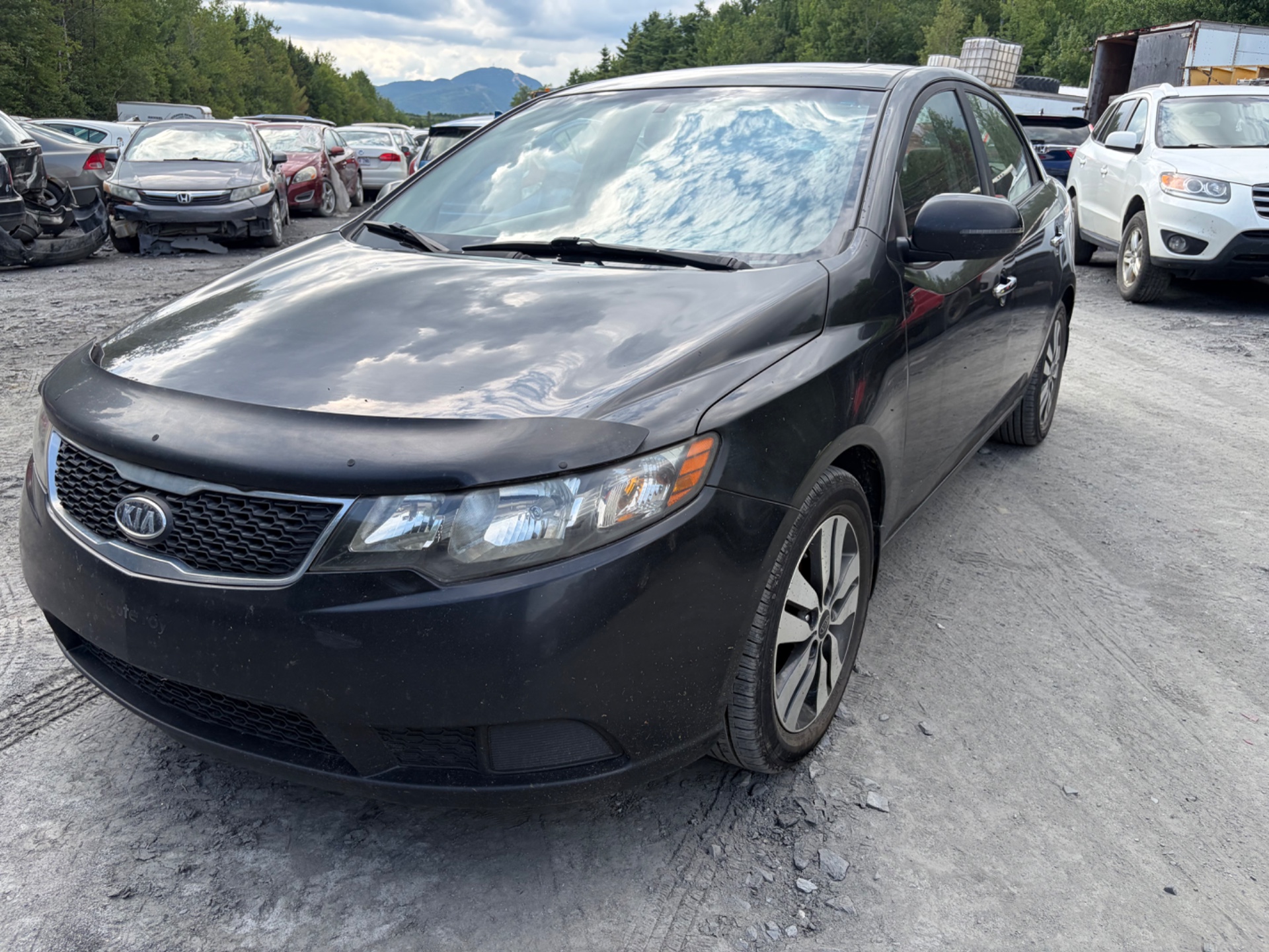 2013 Kia Forte