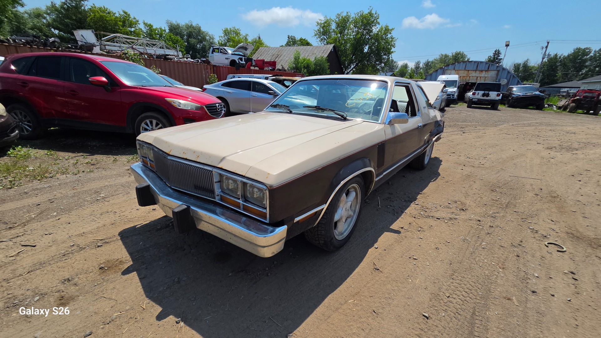 1982 Ford Zephyr(83&Less)