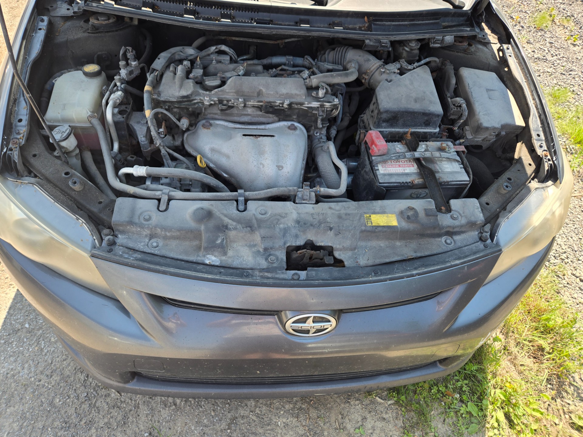 2011 Scion Scion Tc