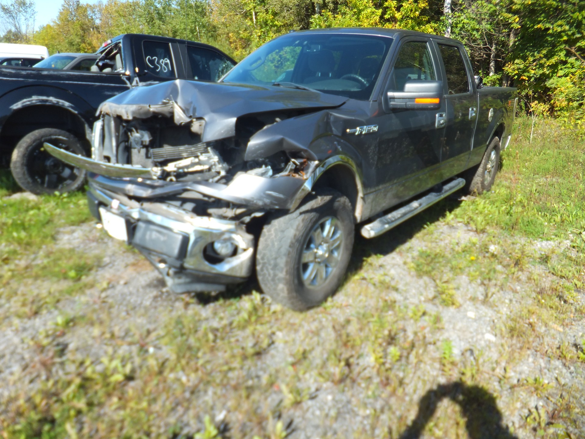2013 Ford Pickup (Ford)