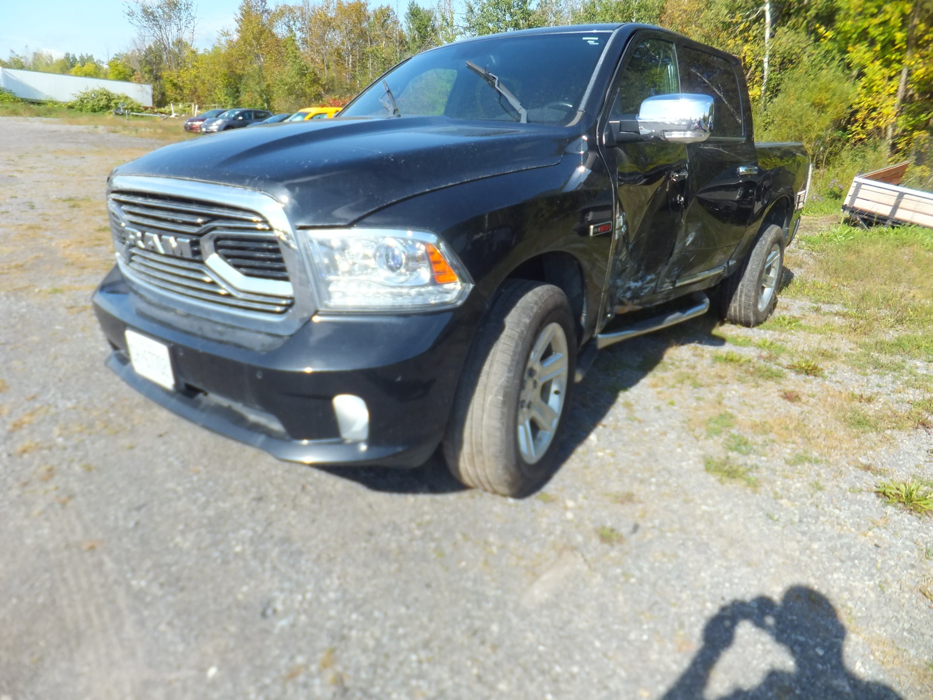 2016 Chrysler Pickup (Dodge)