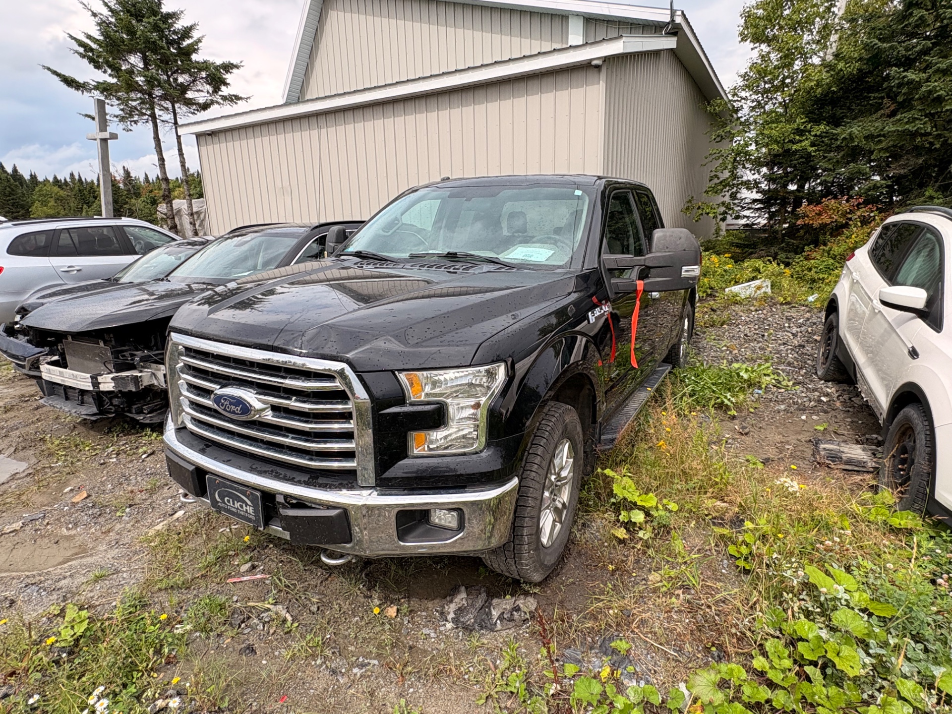 2016 Ford Pickup (Ford)