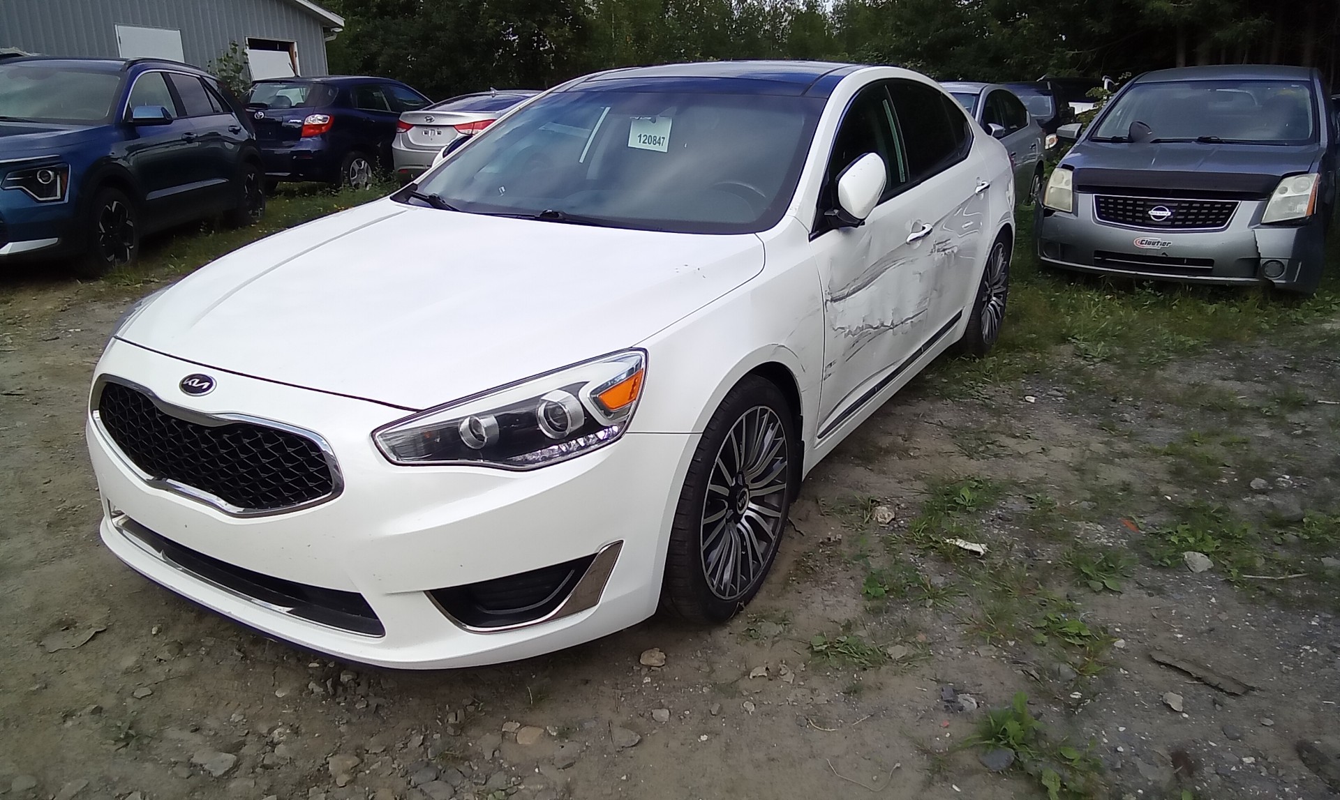 2016 Kia Cadenza