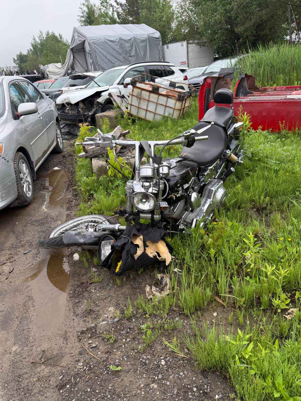 1999 Motorcycle Harley Davidson