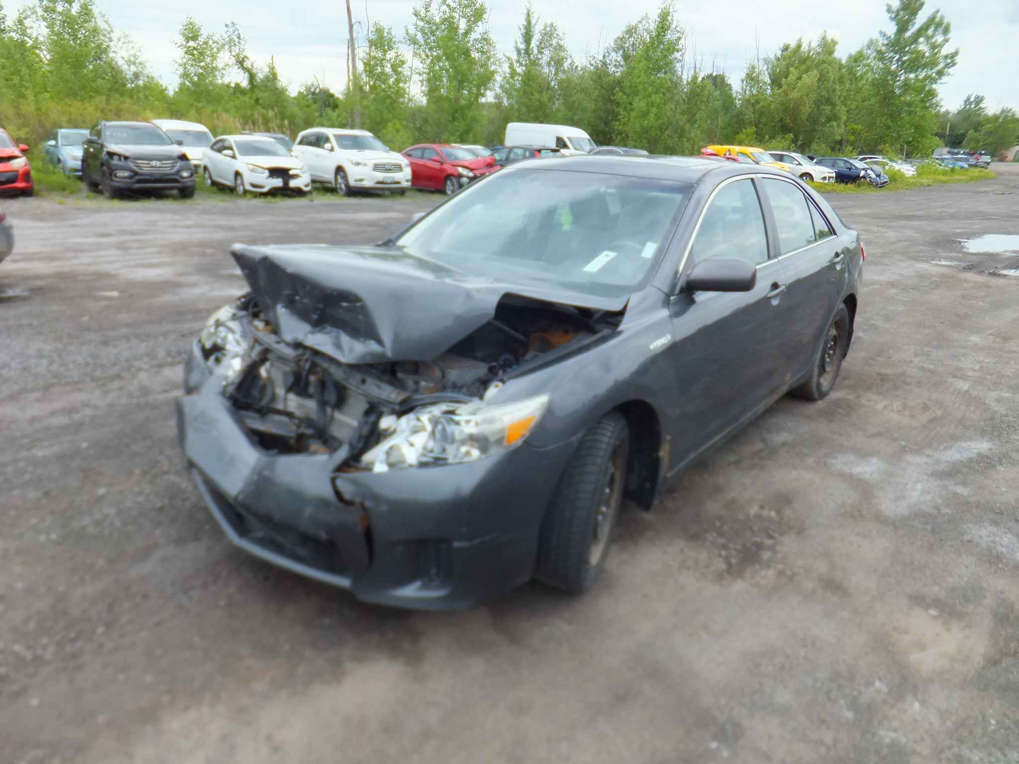 2010 Toyota Camry