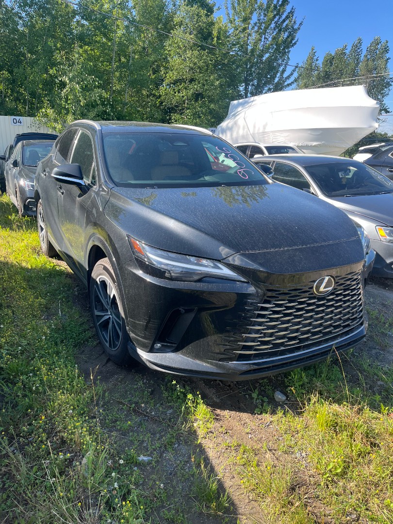 2023 Lexus Lexus Rx