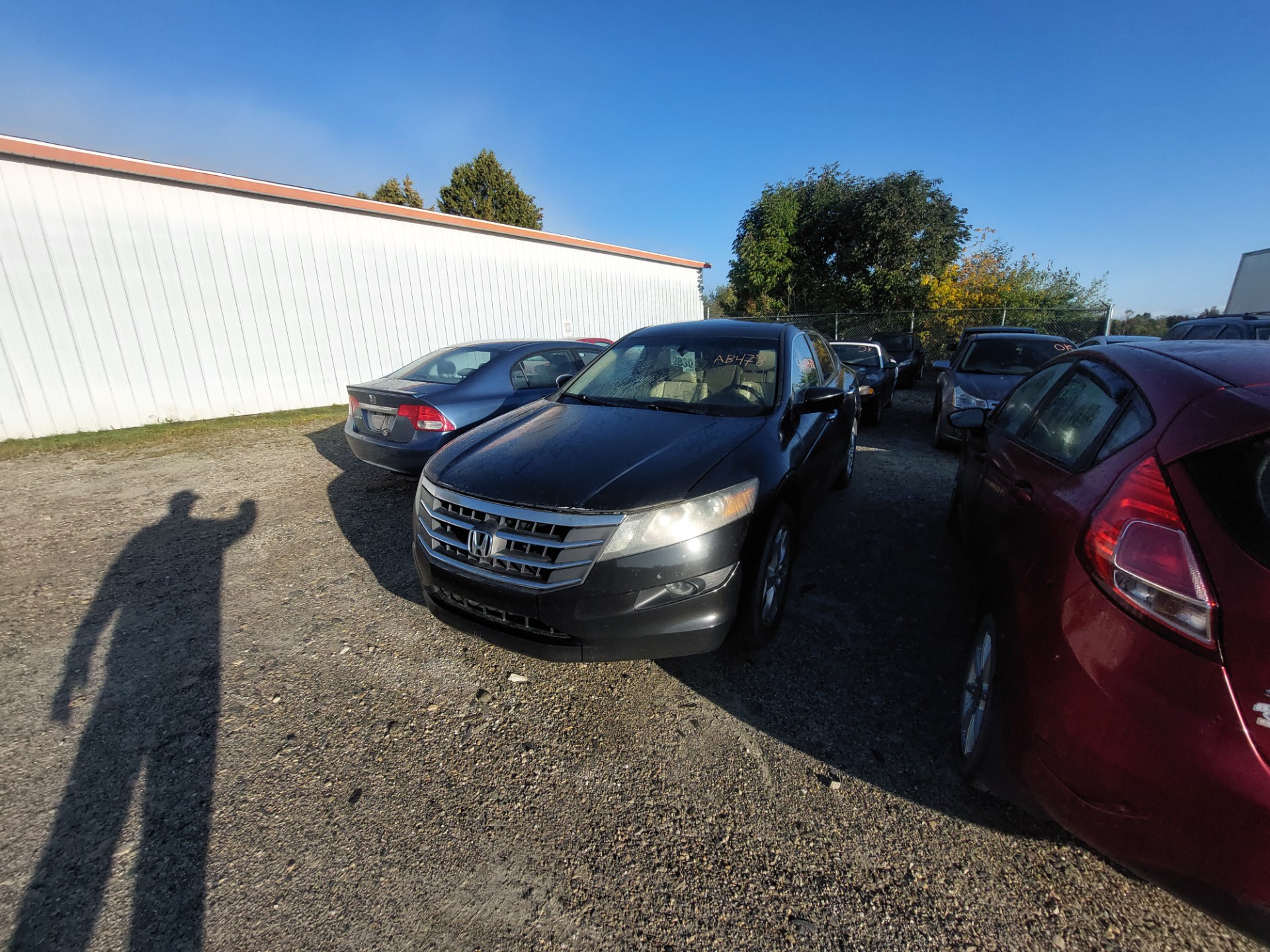 2010 Honda Accord
