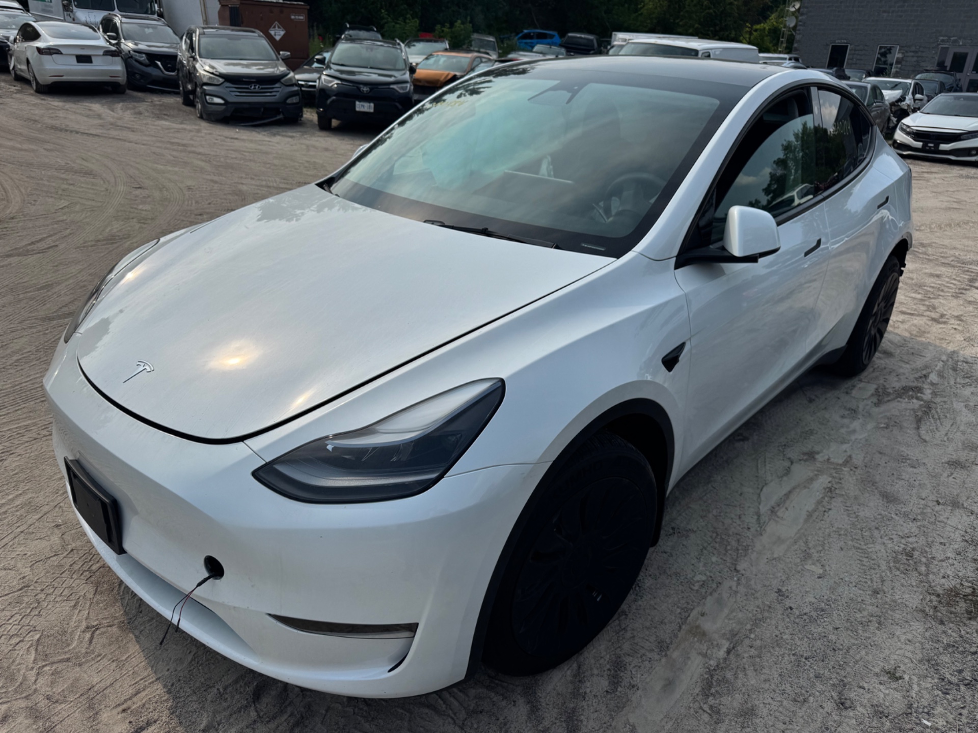 2023 Tesla Tesla Y