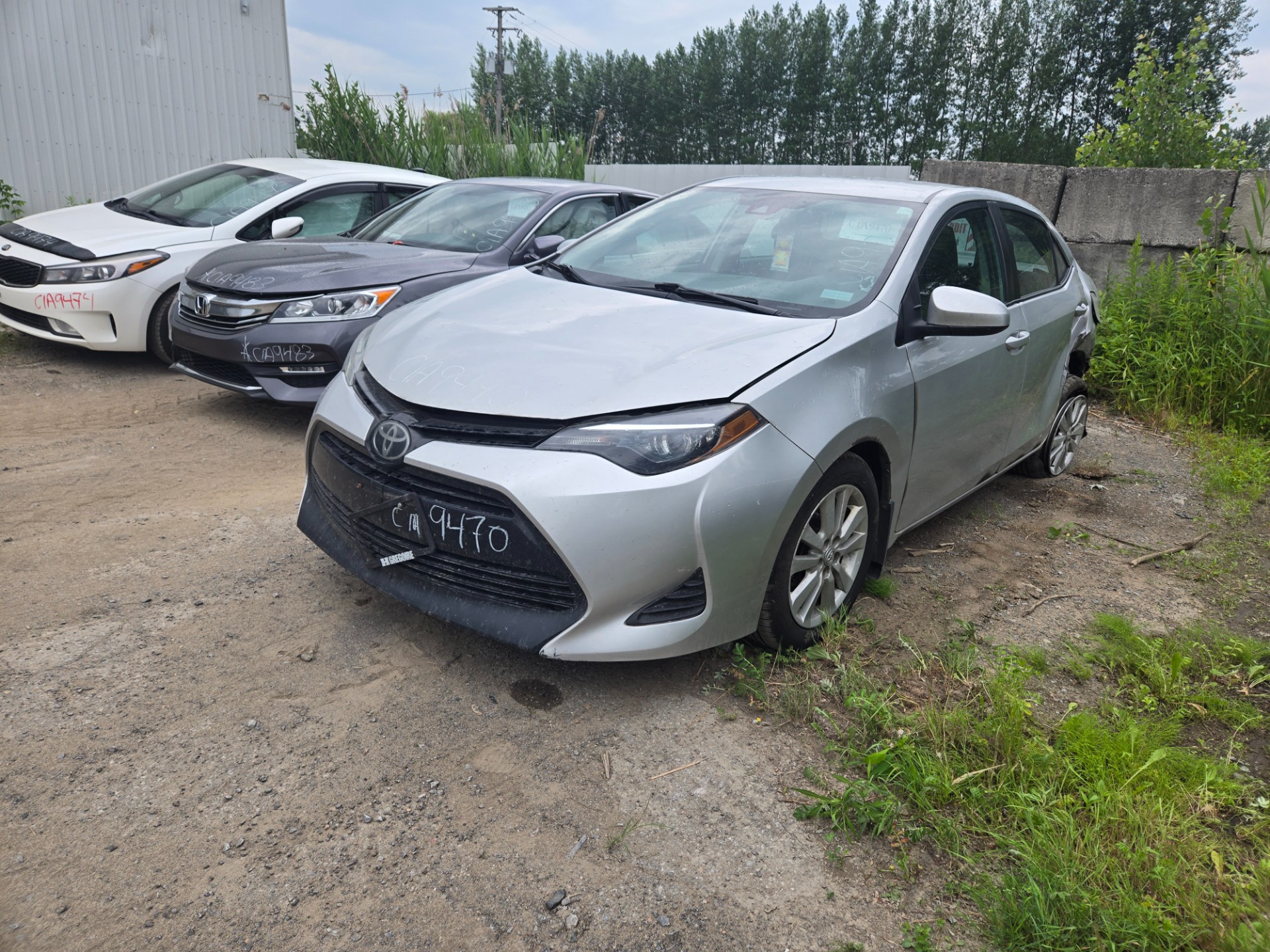 2019 Toyota Corolla