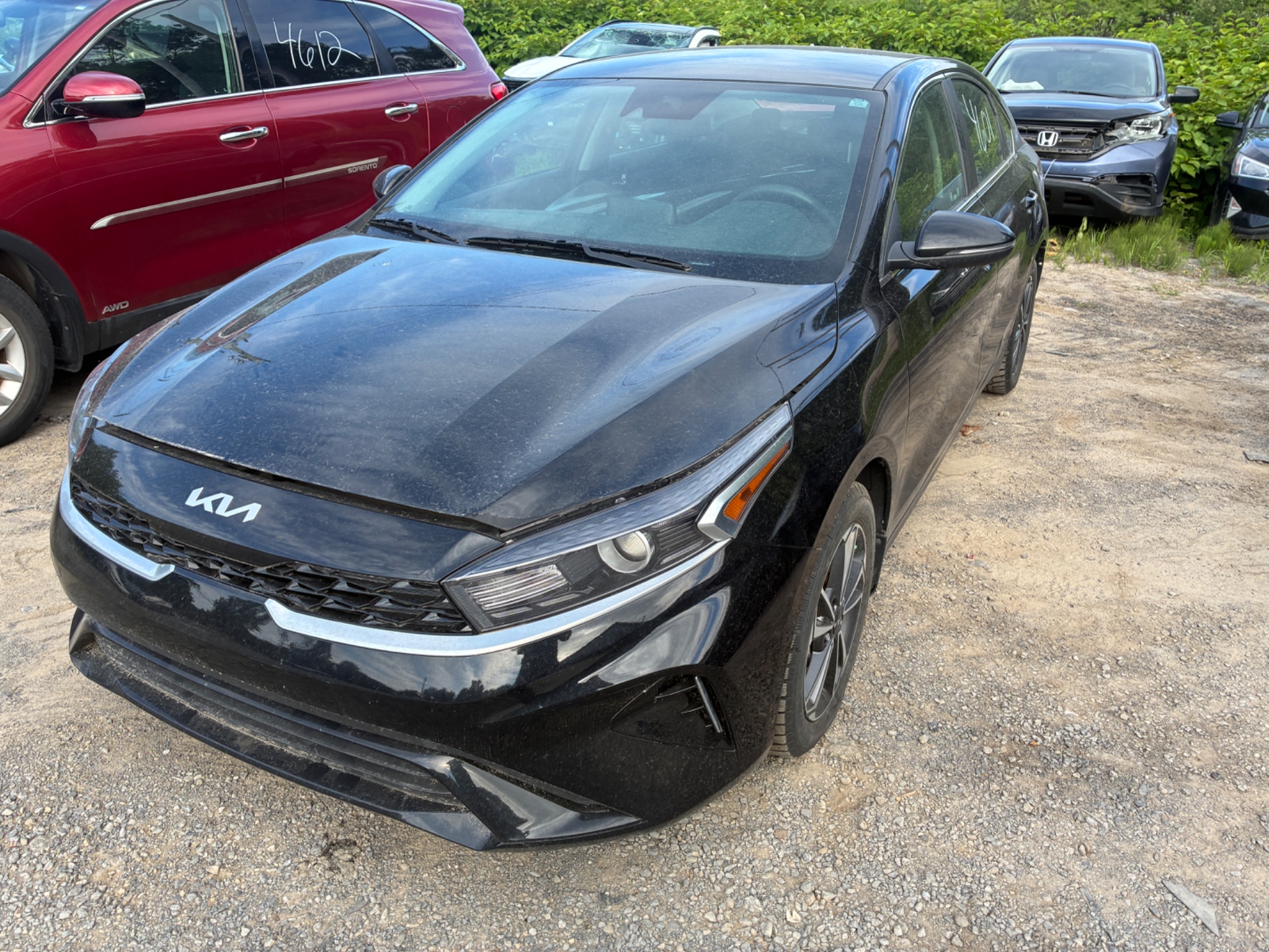 2024 Kia Forte