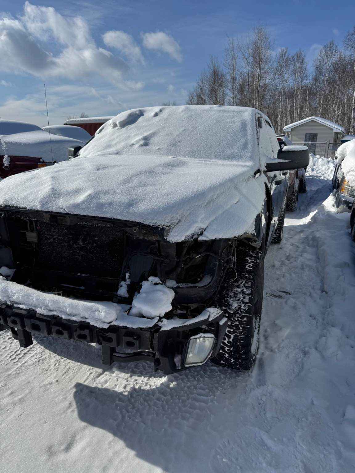 2017 Chrysler Pickup (Dodge)
