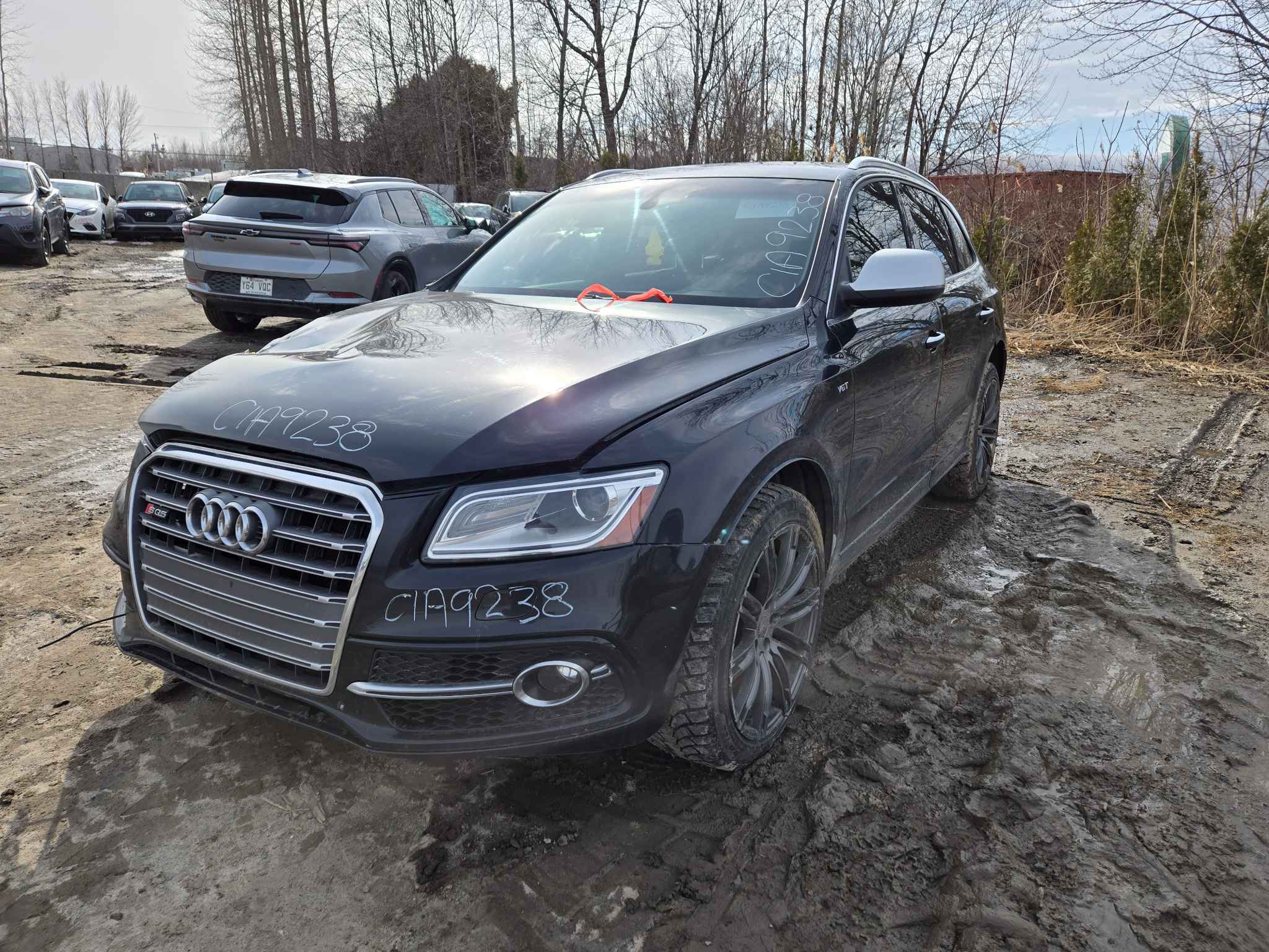2015 Audi Sq5