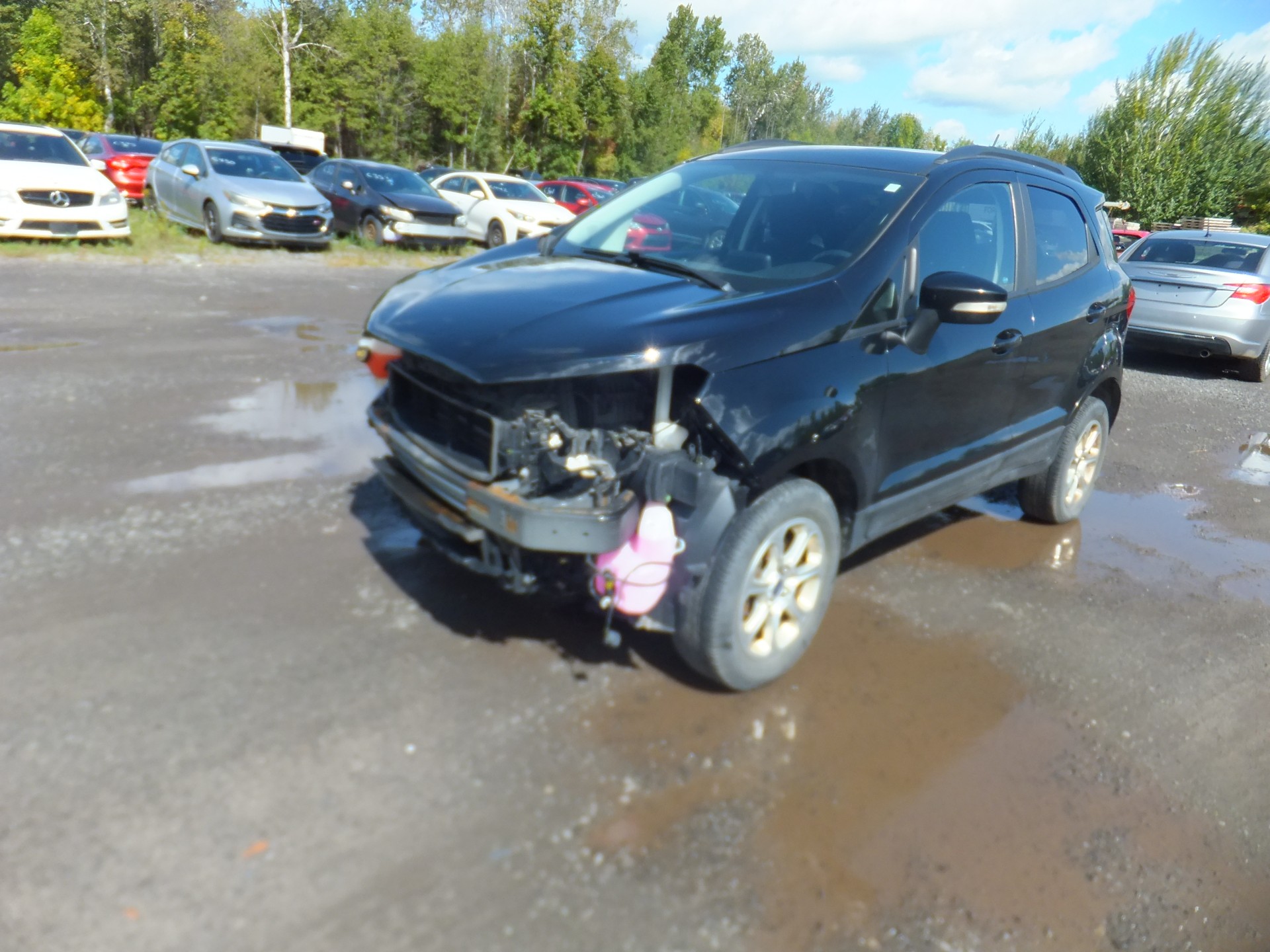 2019 Ford Ecosport