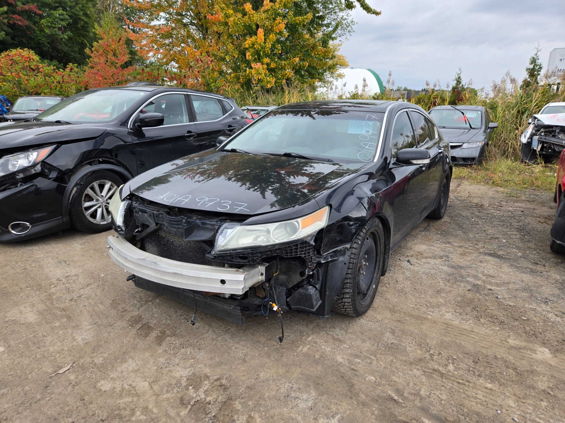 2011 Acura Tl