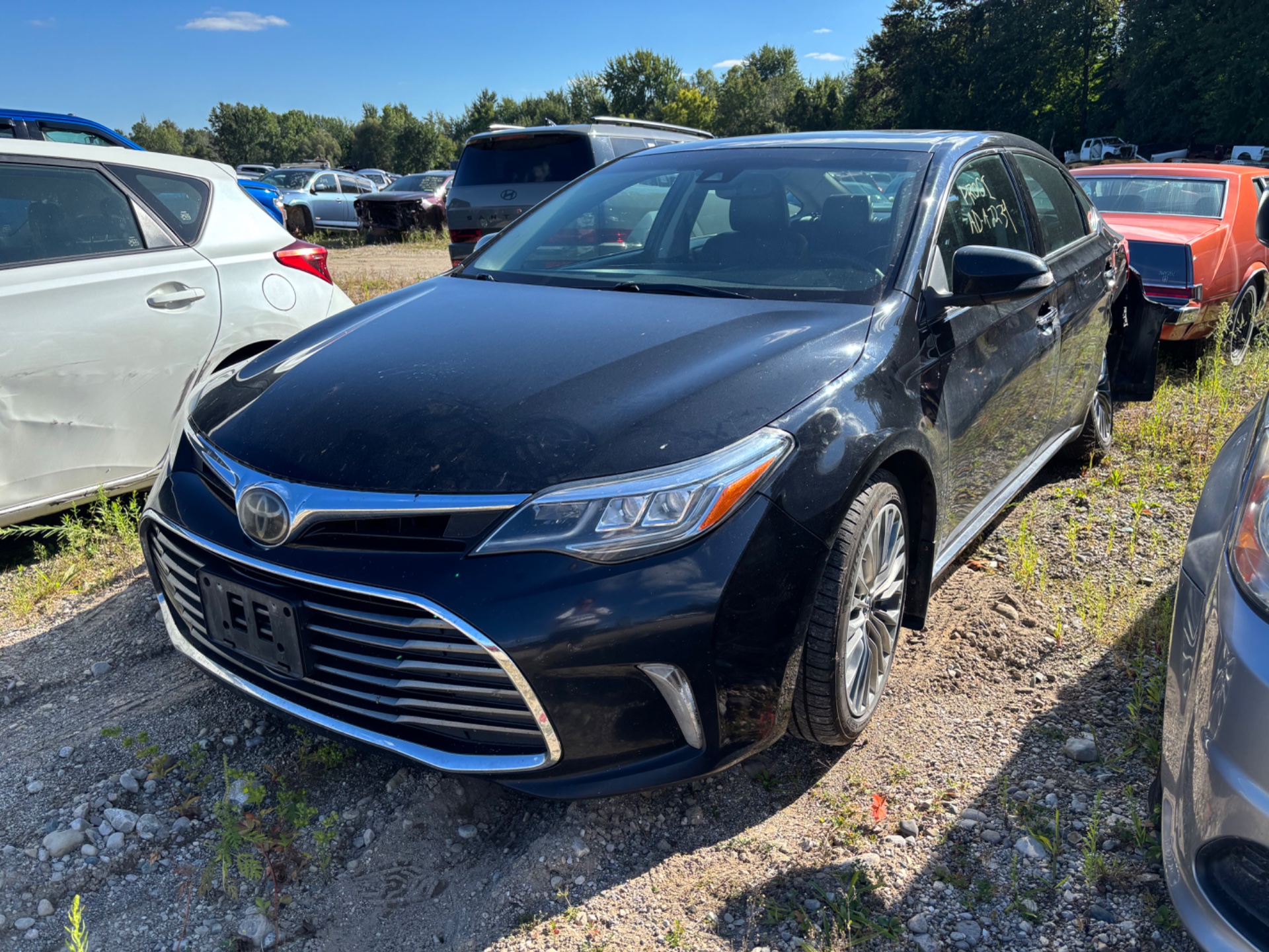 2016 Toyota Avalon