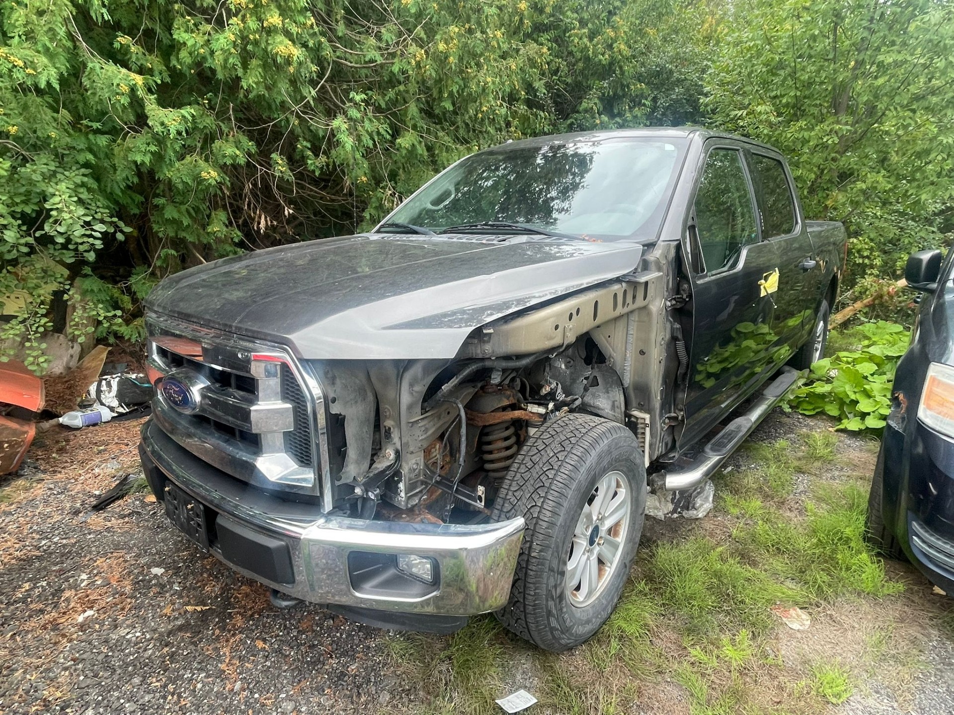 2015 Ford Pickup (Ford)